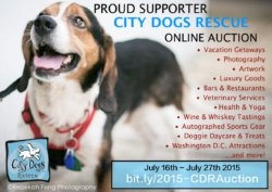 Proud supporter: City Dogs Rescue online auction flyer