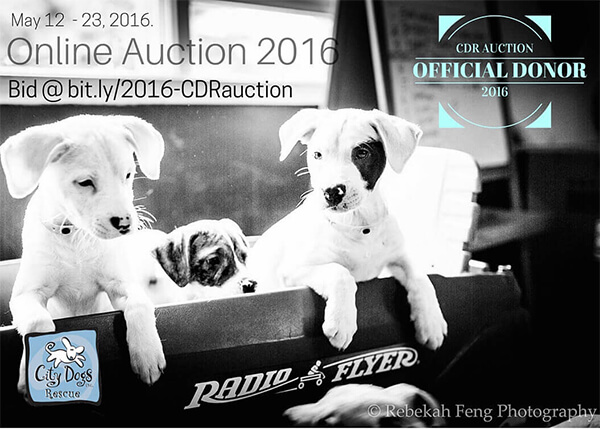 City Dogs Rescue DC annual online auction