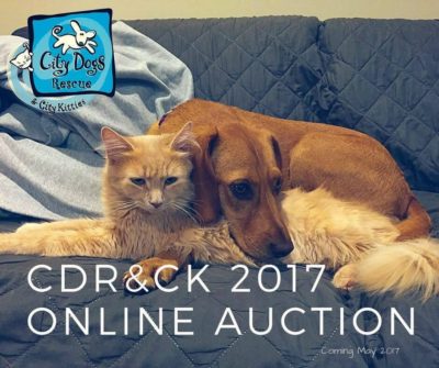 City Dogs Rescue & City Kitties annual online auction flyer