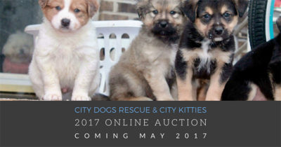City Dogs Rescue & City Kitties annual online auction 2017 flyer